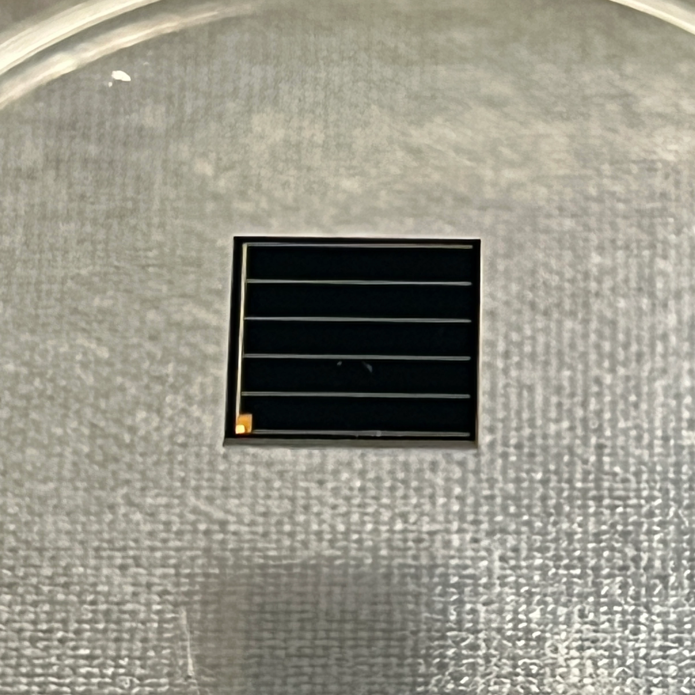 Revolutionizing Bird GPS Trackers with “YIM” GaAs Solar Cells 'YIM' GaAs 태양전지로 조류 GPS 추적기에 혁명을 일으키다