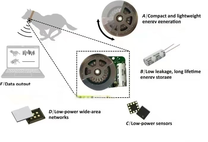 IoT 야생 추적기에 마이크로 태양 전지 적용 태양열 동물 탐지기